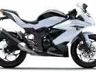 Kawasaki Ninja 250RR Mono / SL 250 Ninja